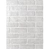 1/4-in x 4-ft x 8-ft White Wall Panel