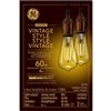 GE Vintage 60W Replacement LED Edison Style ST19 Clear Glass Medium Base Light Bulbs (2-Pack)
