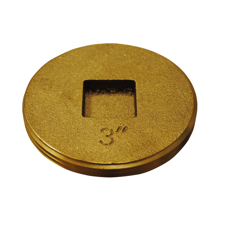 3 inch Brass Eastman 42002 Slotted Cleanout Plug 