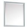 Avanity Emma 28-in Grey Bathroom Mirror