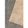 Natural by Lifestyle Brands 8-ft x 10-ft Natural Barcelona Cowhide Rug