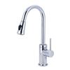 Pioneer Industries Motegi Polished Chrome 17.6-in Lever-Handle Deck Mount Pull Down Kitchen Faucet