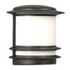 Galaxy 9.5-in Black White Glass Outdoor Wall Light