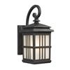 Galaxy 14.50-in Black Frosted Glass Outdoor Wall Light