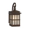 Galaxy 14.50-in Bronze Frosted Glass Outdoor Wall Light
