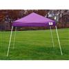 ShelterLogic Pop-Up Canopy HD® Slant Leg - 12-ft x 12-ft - Purple