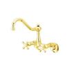Elements of Design Hot Springs Brass Wall Mounted Kitchen Faucet