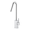 WS Bath Collections Evo 16.20-in Stainless Steel Single Handle Kitchen Faucet with Swivel Spout