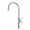 WS Bath Collections 16.60-in Chrome Kitchen Faucet with Swivel Spout