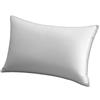 Millano Pillows 20-in x 36-in Polyester (Set of 2)