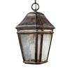 Feiss Londontowne Collection 8.25-in x 15-in Weathered Chestnut Lantern LED Pendant Light