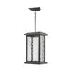 Artcraft Lighting Sussex Drive Collection 7-in x 12-in Black LED Pendant Light