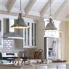 Sea Gull Lighting Stone Street Brushed Nickel Transitional Etched Glass Warehouse Pendant