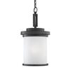 Sea Gull Lighting Winnetka Forged Iron Transitional Etched Glass Cylinder Pendant