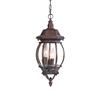 Acclaim Lighting Chateau 19.50-in x 8.00-in Burled Walnut 3 Light Hanging Outdoor Lantern