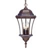 Acclaim Lighting Bryn Mawr 19.50-in x 9.50-in Burled Walnut 3 Light Hanging Outdoor Lantern