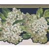 York Wallcoverings Garden Flowers Wallpaper Border - White
