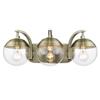 Golden Lighting Dixon 3-Light Vanity Light with Glass - Brass