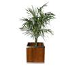 Leisure Season Square Planter - 10-in x 10-in - Wood - Brown