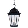 Acclaim Lighting Richmond 3-Light Hanging Lantern - 18.5" - Black