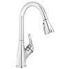Belanger Kitchen Sink Faucet with Swivel Pull-Down Spout