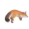 Hi-Line Gift Ltd. Prowling Fox Statue - Multicoloured