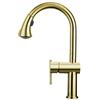 Whitehaus Collection Kitchen Faucet with Pull-Down Sprayer - Brass