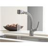 KOHLER Elate kitchen sink faucet pull-out spray - Polished Chrome