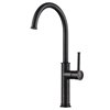Kraus Sellette Bar and Kitchen Faucet - Single Handle - Oil Rubbed Bronze
