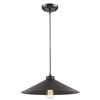 Acclaim Lighting Alcove Pendant Light with Raw Brass inside - 1-Light - Oil-Rubbed Bronze - 17-in