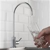 Kraus Purita Drinking Water Dispenser Beverage Kitchen Faucet in Chrome