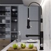 Kraus Artec Pro Kitchen Faucet with Soap Dispenser