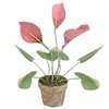 Northlight Decorative Calla Lily Artificial Christmas Plants - 19-in - Pink and Green
