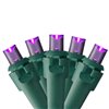 Northlight 50-Count Constant Purple LED Electrical-Outlet Indoor/Outdoor 16.25-ft Christmas String Lights