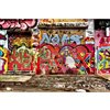 Dimex Graffiti Street Wall Mural - 12-ft 3-in x 8-ft 2-in