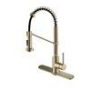 Kraus Single Handle Kitchen Faucet with Deck Plate - Antique Champagne Bronze