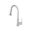 Pfister Classic 1-Handle Pull-Down Kitchen Faucet - Chrome