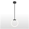 CWI Lighting Hoops Black Modern/Contemporary Geometric Integrated LED Pendant Light