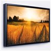 Designart 32-in x 42-in Wheat Field at Sunset Panorama with Black Wood Framed Canvas Wall Panel