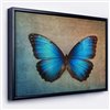 Designart 30-in x 40-in Blue Vintage Buttefly with Blck Wood Framed Canvas Wall Panel