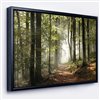 Designart 12-in x 20-in Green Fall Forest with Sun Rays Canvas Priny with Black Wood Framed