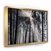 Designart 16-in x 32-in Sunbeams Through Black and White Forest with Gold Wood Framed Canvas