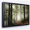 Designart 12-in x 20-in Light in Dense Fall Forest with Fog with Black Wood Framed Wall Panel