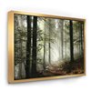 Designart 36-in x 46-in Light in Dense Fall Forest with Fog with Gold Wood Framed Wall Panel