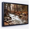 Designart 12-in x 20-in Stream in Autumn Forest with Black Wood Framed Canvas Wall Panel