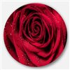 Designart 11-in x 11-in Round Red Rose Petals with Rain Droplets' Ultra Glossy Metal Circle Art