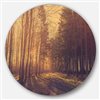 Designart 36-in x 36-in Round Pine Tree Forest by Road' Landscape Photo Circle Metal Wall Art