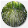 Designart 29-in x 29-in Round Bamboo forest of Kyoto Japan.' Forest Metal Circle Wall Art Print