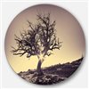 Designart 36-in x 36-in Round Lonely Grey Tree in Mountain' Extra Large Wall Art Landscape