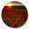 Designart 36-in x 36-in Sunset over Garden with Red Poppies Floral Metal Circle Wall Art